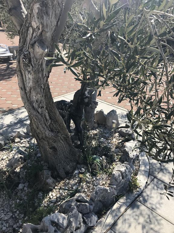 Casa Dolcevita Σίμπενικ Εξωτερικό φωτογραφία